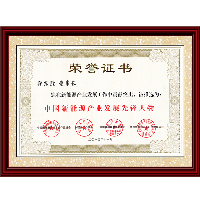 2015中国新能源产业发展先锋人物
